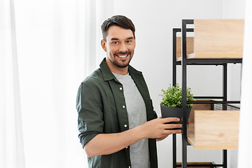 Image showing man decorating home with flower or houseplant