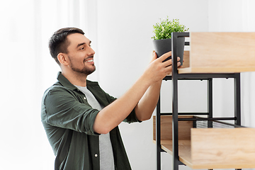 Image showing man decorating home with flower or houseplant