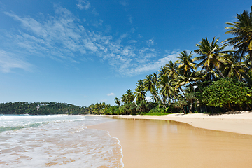 Image showing Idyllic beach. Sri Lanka