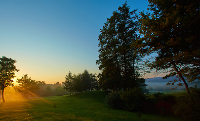 Image showing Sunbeams entering into the deciduous forest on a misty summer morning.