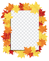 Image showing Maple leaves on transparency grid