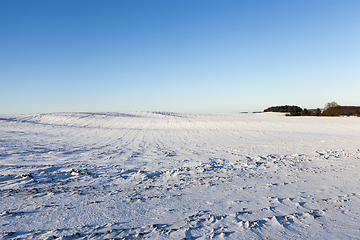 Image showing snow-covered field, winter