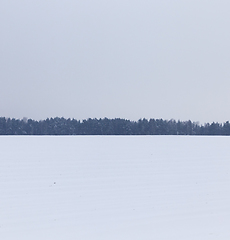 Image showing Winter landscape, snowfall