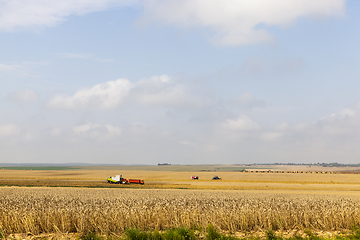 Image showing combine harvester