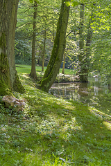 Image showing idyllic park scenery