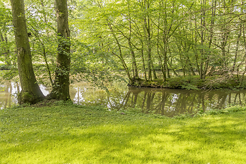 Image showing idyllic park scenery