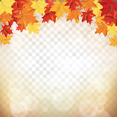 Image showing Maple leaves on transparency grid