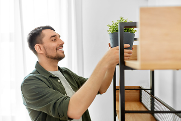 Image showing man decorating home with flower or houseplant