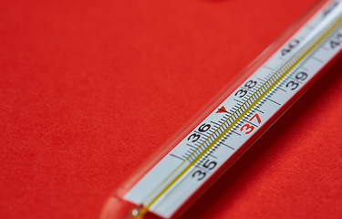 Image showing Medical mercury thermometer