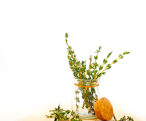 Image showing fresh thyme on a glass jar