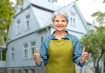 Image showing senior woman in garden apron showing thumbs up