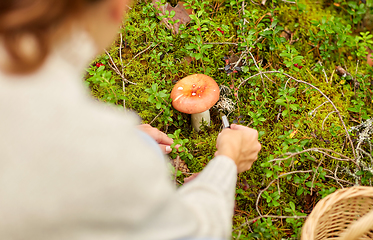 Image showing young woman picking mushrooms in autumn forest