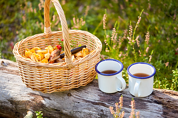 Image showing mushrooms in basket and cups of tea in forest