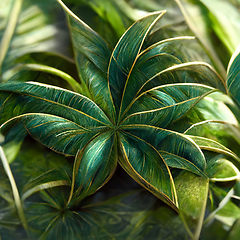 Image showing Nature view of green tropical plants leaves  background.