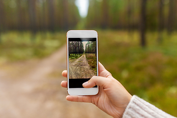 Image showing hand using smartphone to take picture in forest