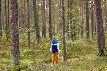 Image showing little boy with basket picking mushrooms in forest