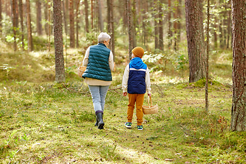 Image showing grandmother and grandson with baskets in forest