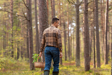 Image showing man with basket picking mushrooms in forest