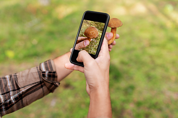 Image showing hands using smartphone app to identify mushroom