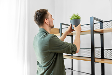 Image showing man decorating home with flower or houseplant