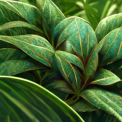 Image showing Nature view of green tropical plants leaves background.