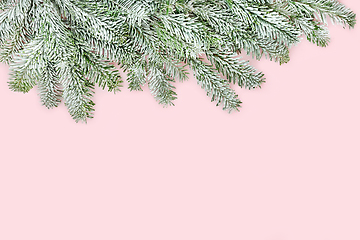 Image showing Winter Snow Fir Christmas Background Pink Border  