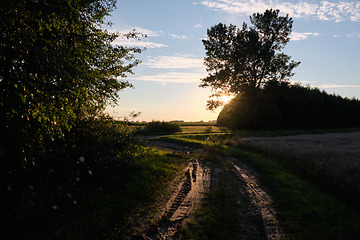 Image showing Dirt road in sunset light