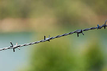 Image showing Steel barbed wire