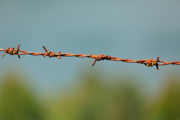 Image showing Steel barbed wire