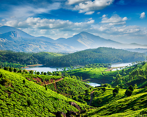 Image showing Tea plantations and river in hills