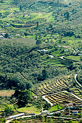 Image showing Terraced fields