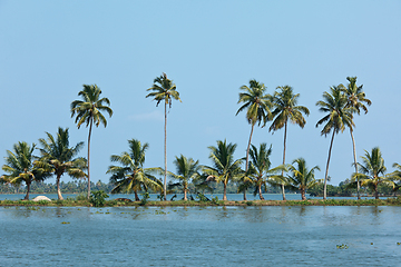 Image showing Kerala backwaters