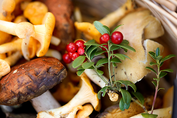 Image showing close up of mushrooms in basket in forest