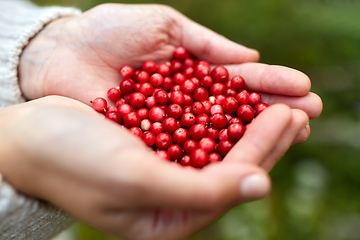 Image showing close up of young woman holding berries in hands