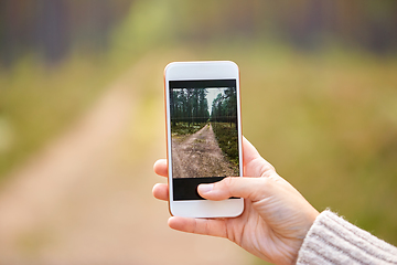 Image showing hand using smartphone to take picture in forest