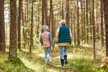 Image showing grandmother and granddaughter picking mushrooms