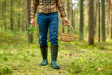 Image showing man with basket picking mushrooms in forest