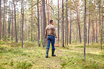 Image showing man with basket picking mushrooms in forest