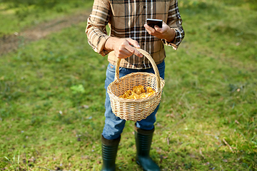 Image showing man with smartphone and mushrooms in basket