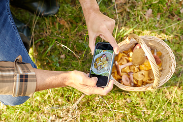 Image showing man with smartphone and mushrooms in basket