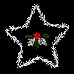 Image showing Christmas Star of Bethlehem and Holly Decoration