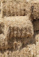 Image showing pressed square bales