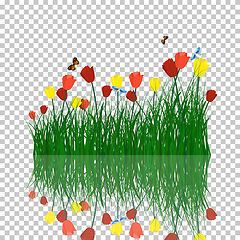 Image showing Tulips in grass with reflection in water
