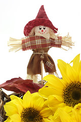 Image showing Sunflowers with Straw Man