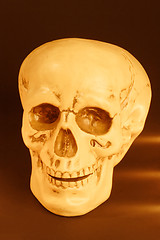 Image showing Death's Head