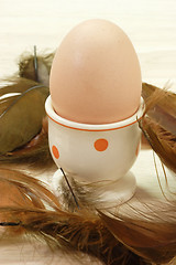 Image showing Brown Egg