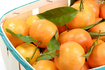 Image showing Satsumas with Leaves