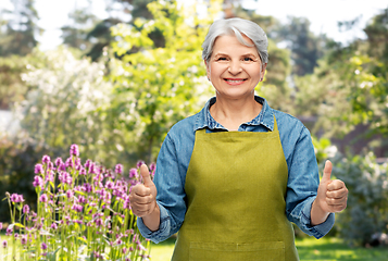 Image showing senior woman in garden apron showing thumbs up