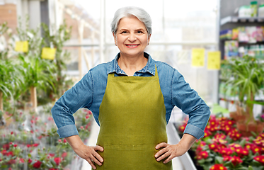 Image showing smiling senior woman in gardening center