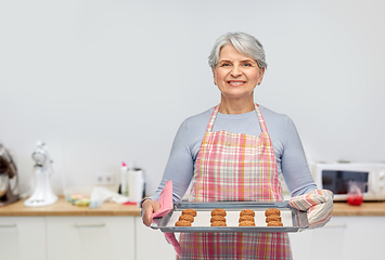 Image showing senior woman in apron with cookies on baking pan